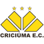 Крісіума logo