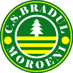 CS Bradul Moroeni logo
