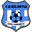 Home team logo