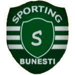 CS Sporting Vointa Bunesti