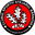 Home team logo