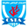 Home team logo