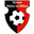 Home team logo