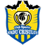 CS Vadu Crișului logo
