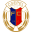 Чепел UFC logo