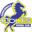 Cumbernauld Colts FC logo