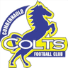 Cumbernauld Colts FC