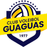 CV Guaguas