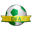 Home team logo