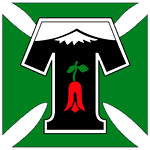 Deportes Temuco