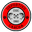 Home team logo