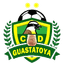 teamLogo