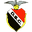 Home team logo
