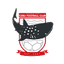 ДХ Себу ФК logo