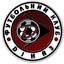 Dinaz Vyshhorod logo