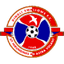Dingli Swallows logo