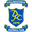 Home team logo