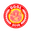 Home team logo