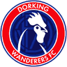 Dorking Wanderers