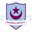 Home team logo