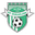 Home team logo