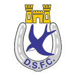 Dungannon Swifts Reserves logo