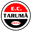 Home team logo