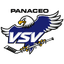 EC VSV