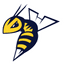 Edmonton Stingers