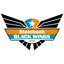 teamLogo