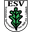 Home team logo