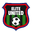 Home team logo