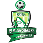 home team logo