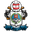 Home team logo