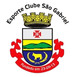 EC São Gabriel logo