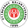 Home team logo