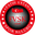 Home team logo