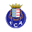 Home team logo