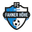 Home team logo