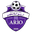 Home team logo