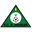 Home team logo