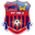 Home team logo