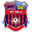 Home team logo