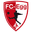 Home team logo