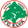 Home team logo