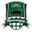 Home team logo