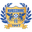 Home team logo