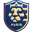 Home team logo