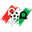Home team logo