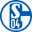 Home team logo